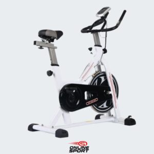 Stepper Fitness Spinning Bike